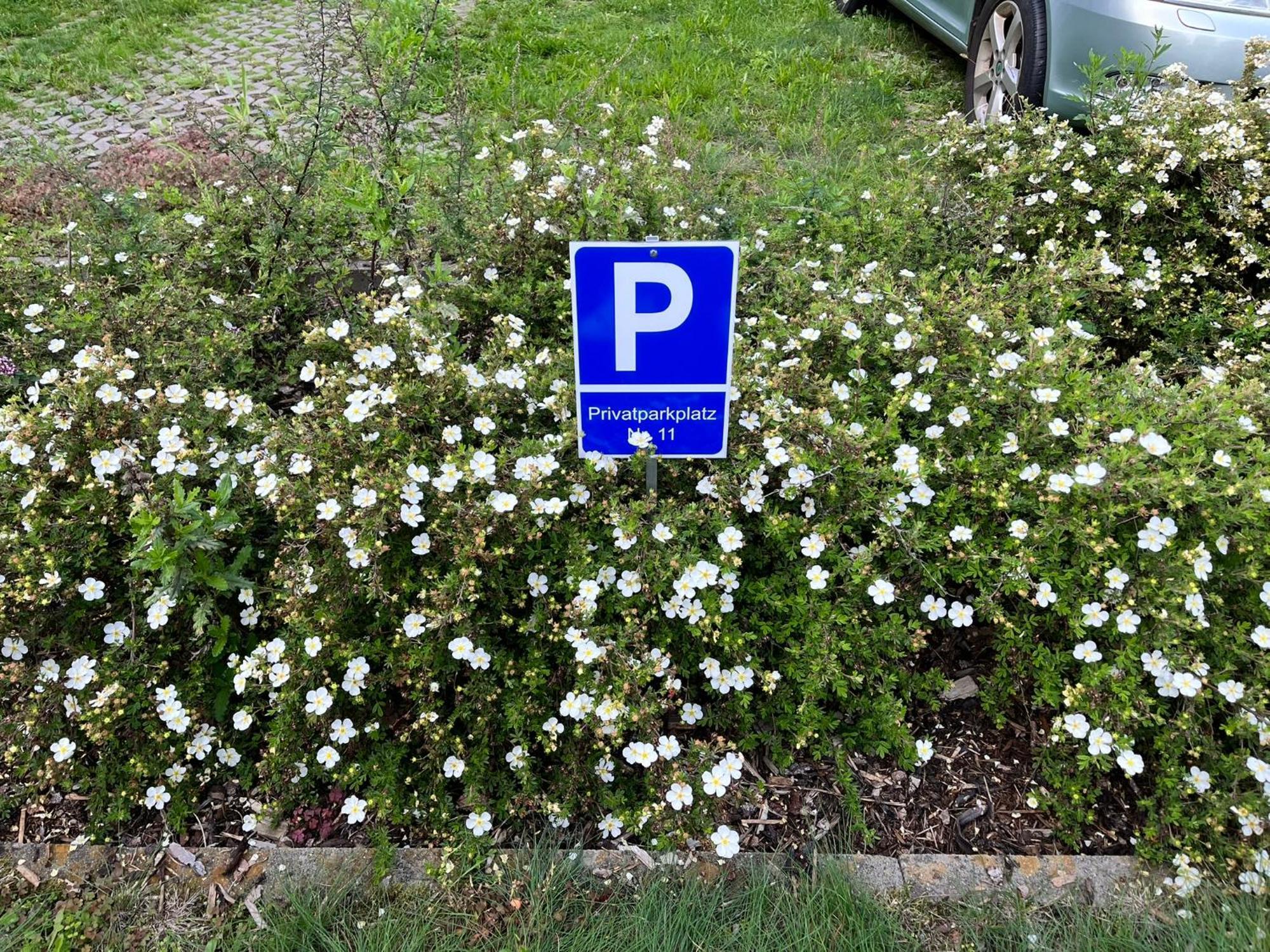 Gemuetliche Wohnung Am Muellerring لبسيا المظهر الخارجي الصورة